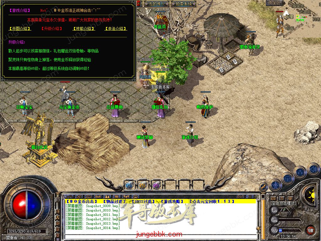 Snapshot_0015.jpg