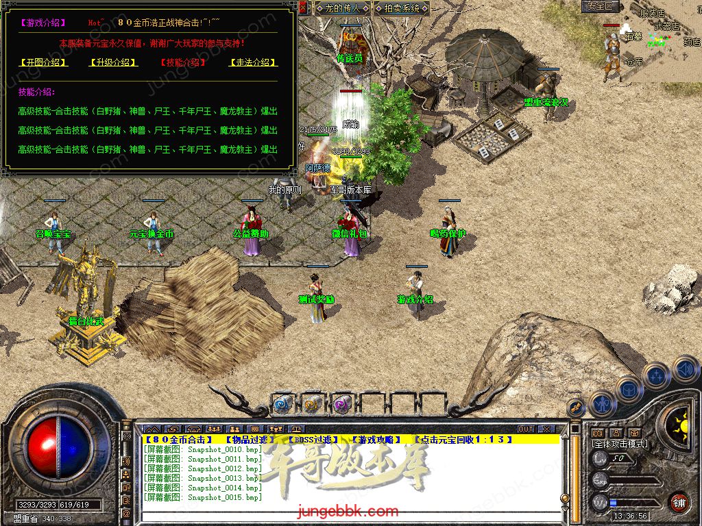 Snapshot_0016.jpg